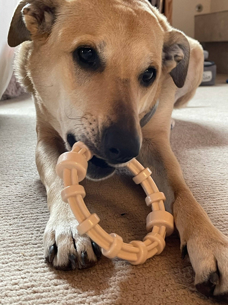 Load image into Gallery viewer, Chicken Flavored Teething Ring for Puppies &amp; Aggressive Chewers | USA Made

