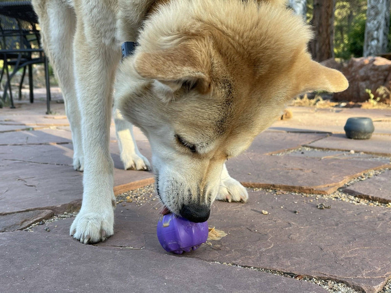 Load image into Gallery viewer, Cross Bones Bully Stick Holder &amp; Chew Toy for Heavy Chewers | Purple | USA Made
