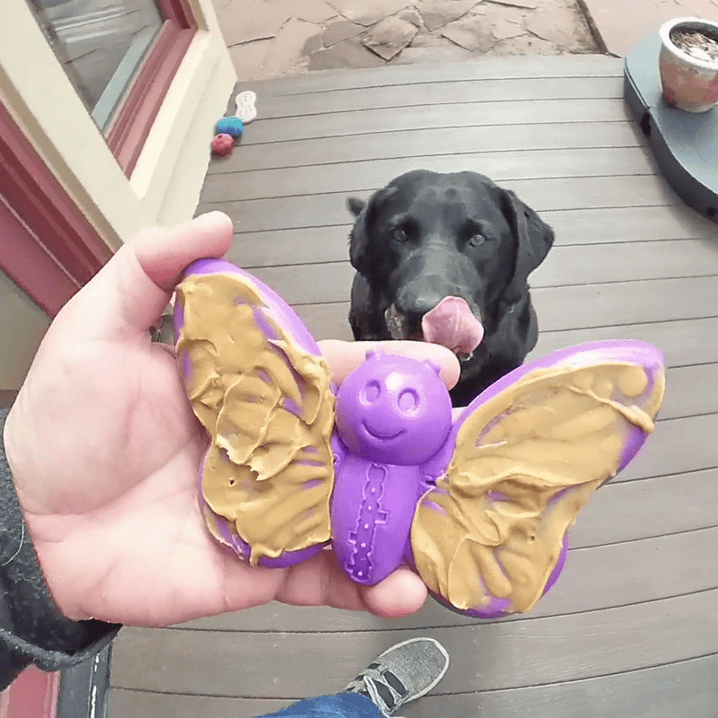 Load image into Gallery viewer, Butterfly Nylon Chew &amp; Enrichment Toy | 2-in-1 for Aggressive Chewers | SodaPup

