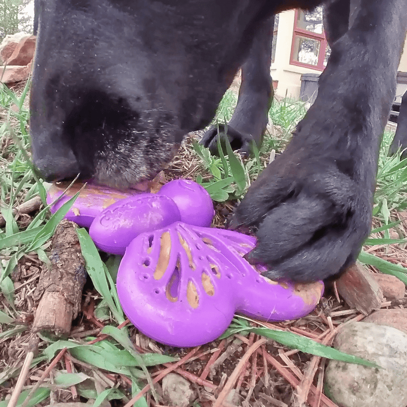 Load image into Gallery viewer, Butterfly Nylon Chew &amp; Enrichment Toy | 2-in-1 for Aggressive Chewers | SodaPup
