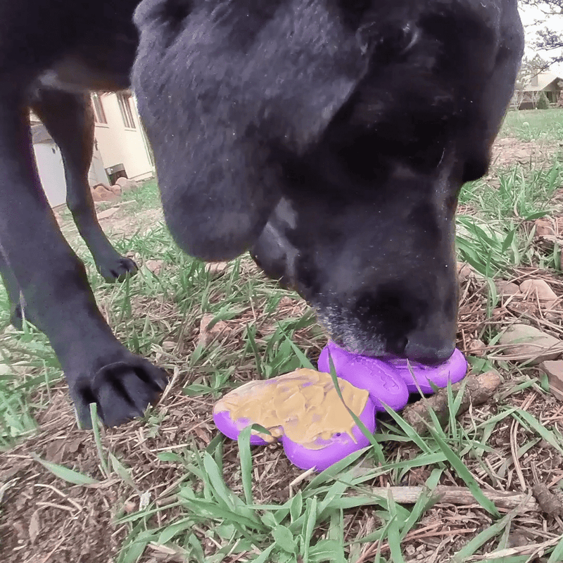 Load image into Gallery viewer, Butterfly Nylon Chew &amp; Enrichment Toy | 2-in-1 for Aggressive Chewers | SodaPup
