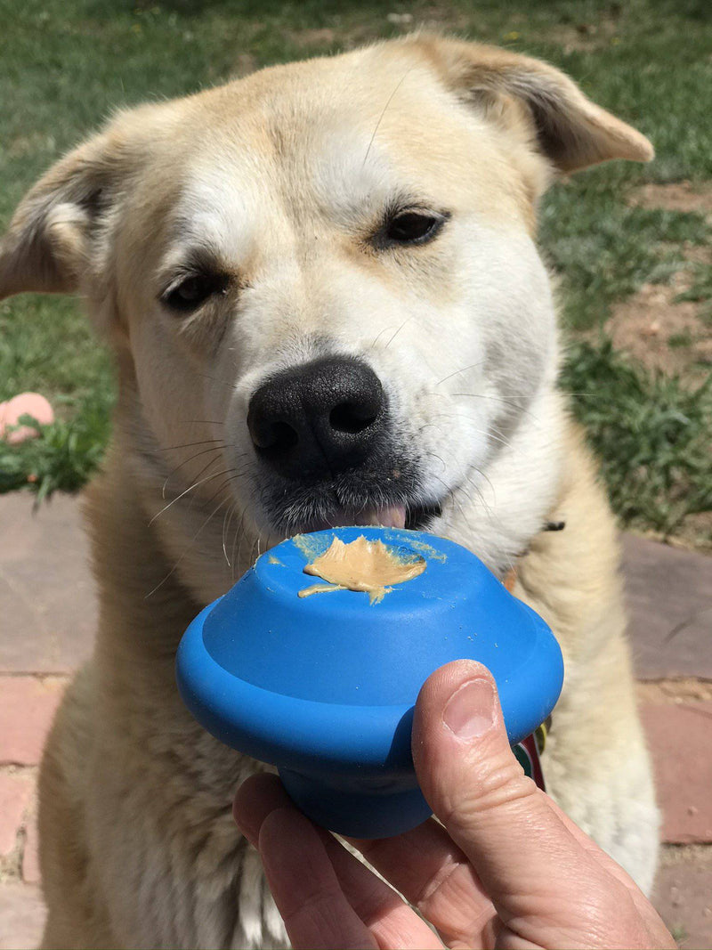 Load image into Gallery viewer, Flying Saucer Dog Toy - Durable UFO Chew Toy &amp; Treat Dispenser | USA Made
