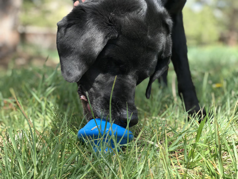 Load image into Gallery viewer, Flying Saucer Dog Toy - Durable UFO Chew Toy &amp; Treat Dispenser | USA Made
