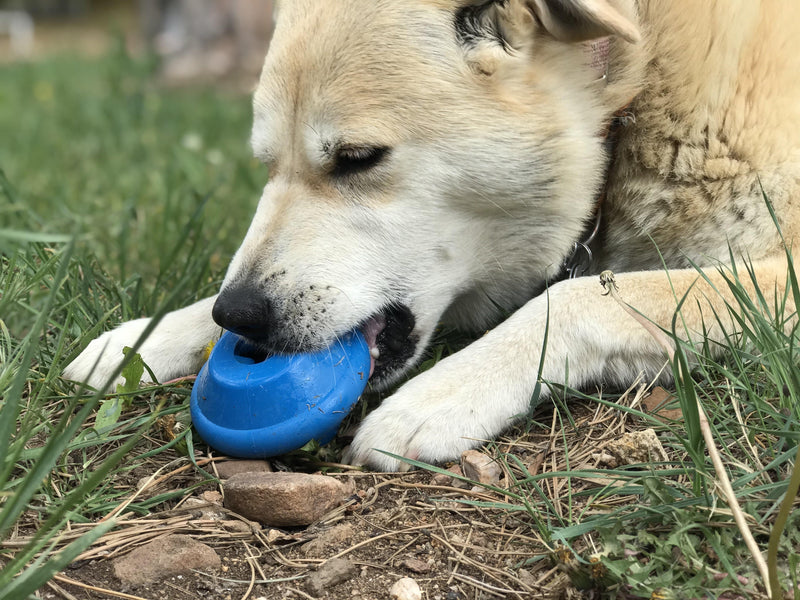 Load image into Gallery viewer, Flying Saucer Dog Toy - Durable UFO Chew Toy &amp; Treat Dispenser | USA Made
