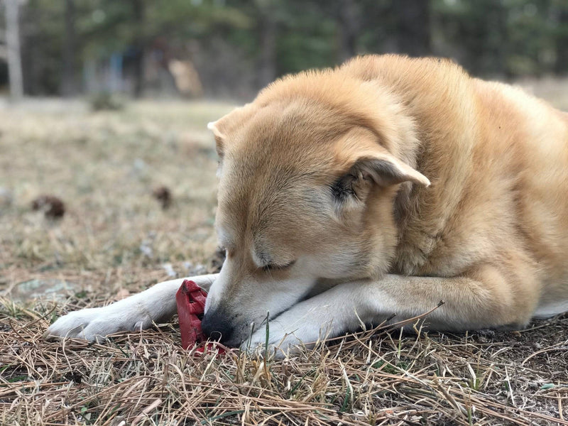 Load image into Gallery viewer, Cherry Pie Nylon Dog Chew Toy for Aggressive Chewers | USA Made | SodaPup
