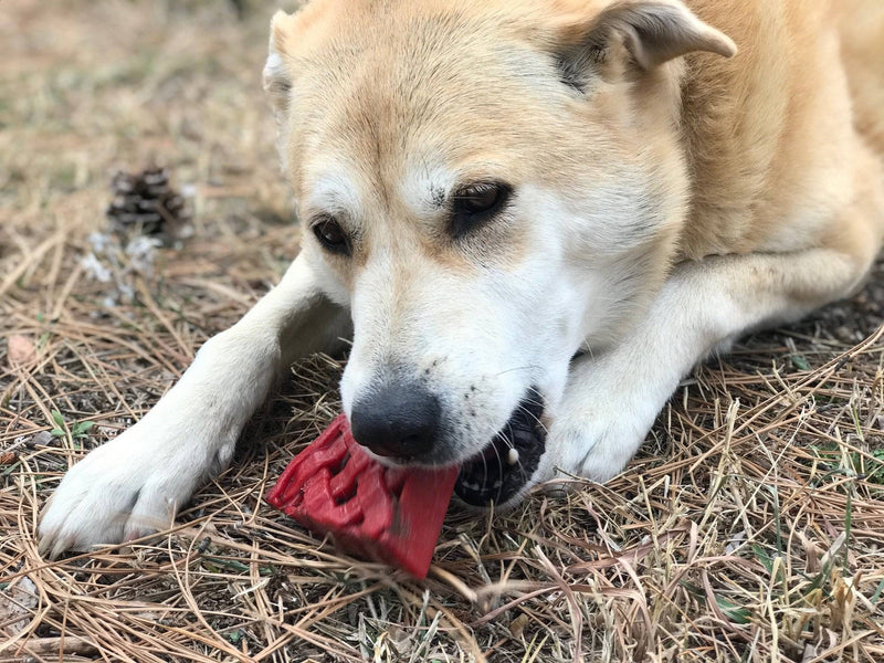 Load image into Gallery viewer, Cherry Pie Nylon Dog Chew Toy for Aggressive Chewers | USA Made | SodaPup
