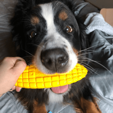 Load image into Gallery viewer, Corn on the Cob Nylon Dog Toy for Aggressive Chewers | USA Made | SodaPup
