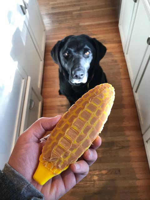 Load image into Gallery viewer, Corn on the Cob Nylon Dog Toy for Aggressive Chewers | USA Made | SodaPup
