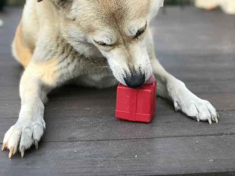 Load image into Gallery viewer, Gift Box eDispenser - Durable Rubber Treat Dispenser for Dogs | USA Made
