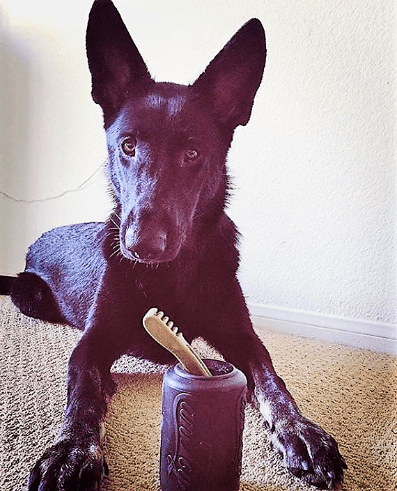 Load image into Gallery viewer, Magnum Can Toy Rubber Dog Chew Toy for Extreme  Chewers | Treat Dispenser | USA Made

