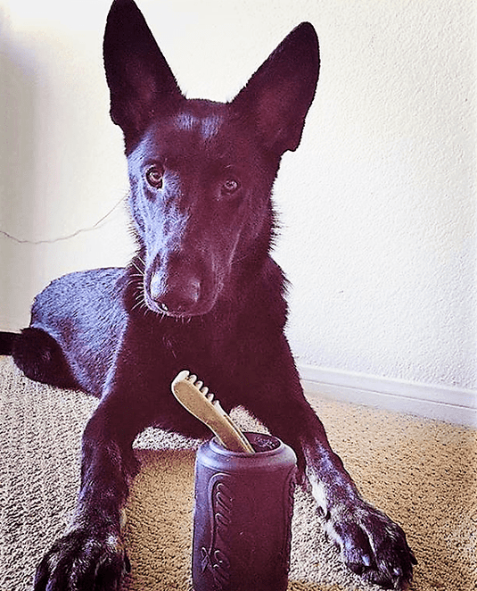 Magnum Can Toy Rubber Dog Chew Toy for Extreme  Chewers | Treat Dispenser | USA Made