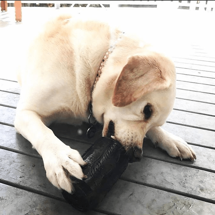 Load image into Gallery viewer, Magnum Can Toy Rubber Dog Chew Toy for Extreme  Chewers | Treat Dispenser | USA Made
