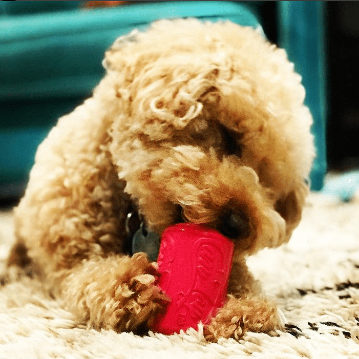 Load image into Gallery viewer, Puppy Can Toy Rubber Chew Toy for Teething Puppies | Treat Dispenser | USA Made
