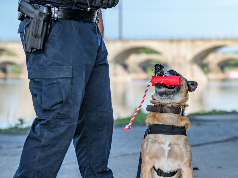 Load image into Gallery viewer, USA-K9 Firecracker Floating Training Dummy | K9 Handler Reward Toy | Red | USA Made

