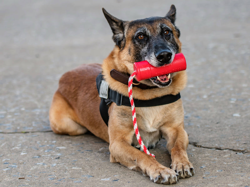Load image into Gallery viewer, USA-K9 Firecracker Floating Training Dummy | K9 Handler Reward Toy | Red | USA Made
