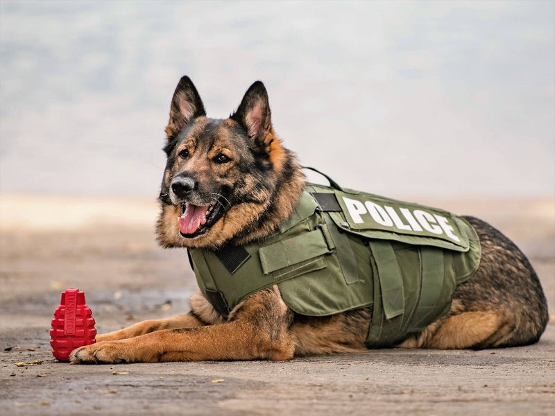 Load image into Gallery viewer, USA-K9 Grenade Shaped eDispenser Durable Dog Chew Toy &amp; Treat Dispenser - Magnum Black
