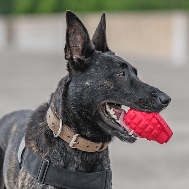 Load image into Gallery viewer, USA-K9 Grenade Rubber Dog Chew Toy | K9 Handler eDispenser Toy | Red &amp; Blue | USA Made
