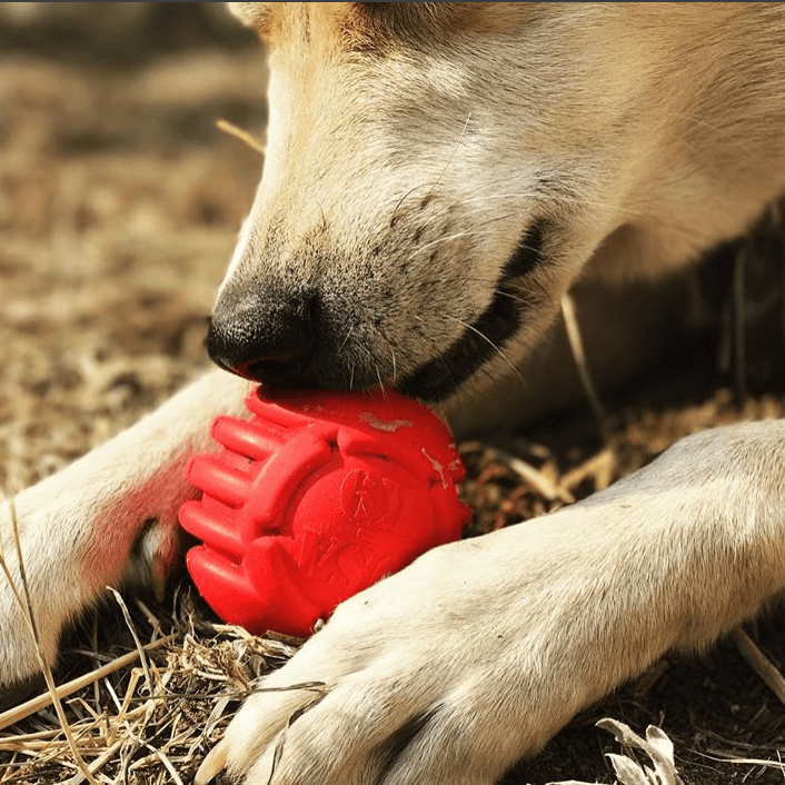 Load image into Gallery viewer, USA-K9 Stars and Stripes Rubber Dog Toy | K9 Handler Reward Toy | Red | USA Made
