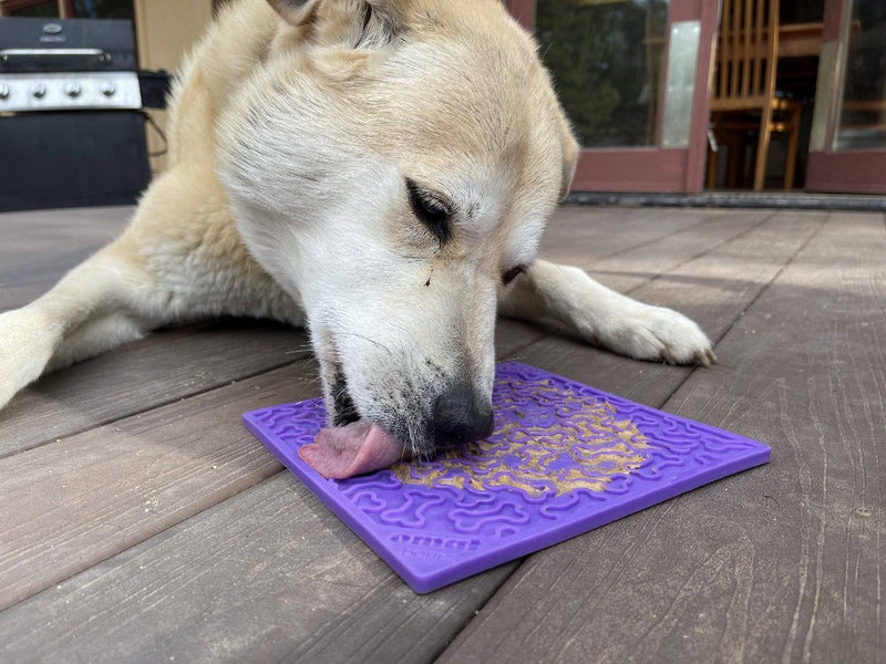 Load image into Gallery viewer, Bones eMat - Enrichment Lick Mat for Dogs and Cats | eMat Enrichment Toy for Anxiety Relief | SodaPup
