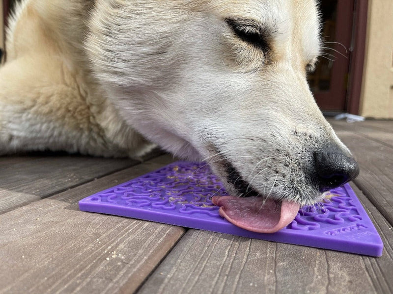 Load image into Gallery viewer, Bones eMat - Enrichment Lick Mat for Dogs and Cats | eMat Enrichment Toy for Anxiety Relief | SodaPup
