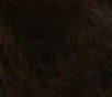 Load image into Gallery viewer, Soft Touch Therapeutic Alpaca Slouchy Socks
