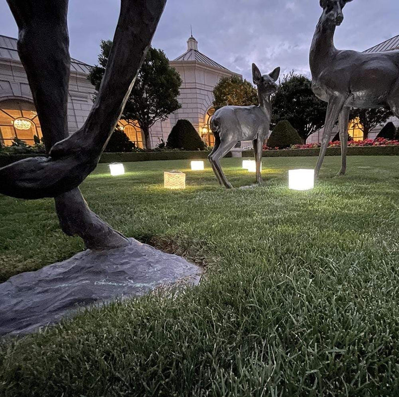 Load image into Gallery viewer, SolarPuff™ Hybrid Solar Lantern – Warm &amp; Bright
