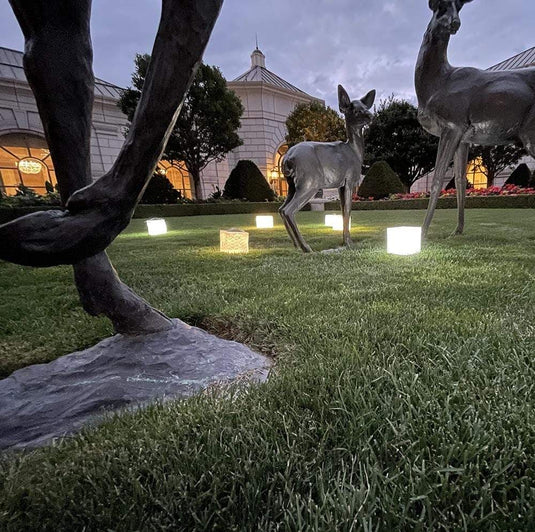 SolarPuff™ Hybrid Solar Lantern – Warm & Bright
