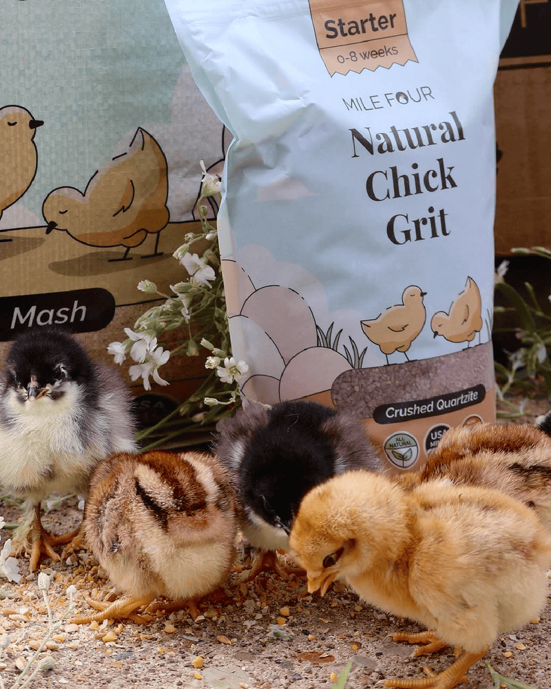 Load image into Gallery viewer, Chicken Grit
