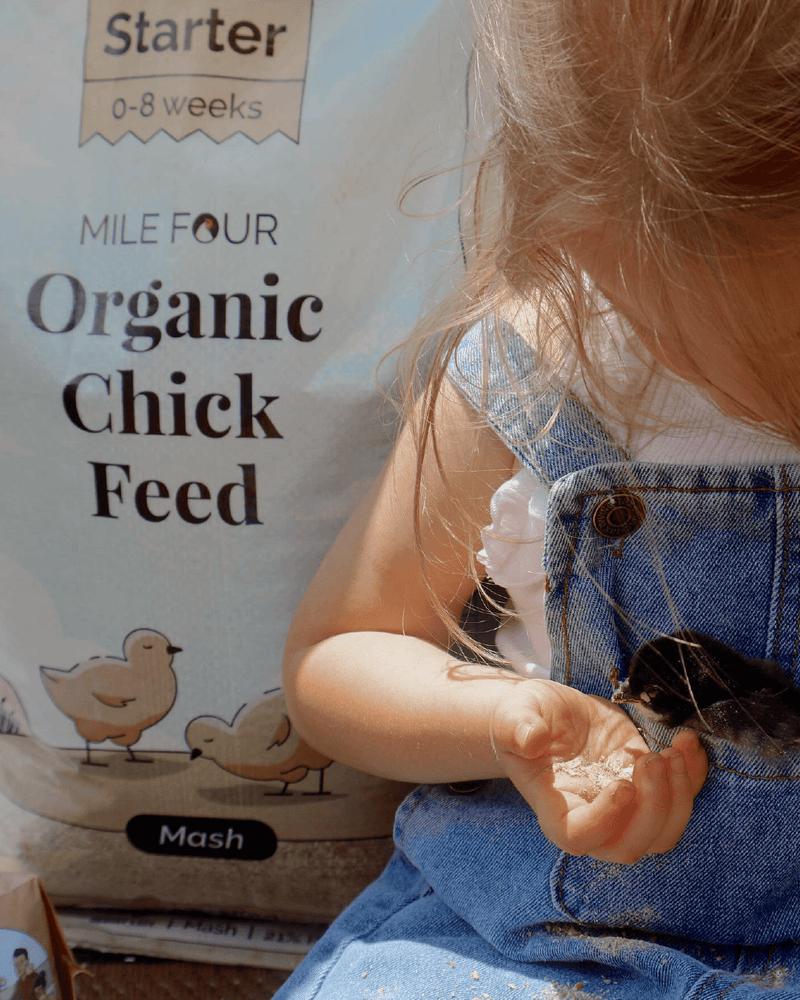 Load image into Gallery viewer, Starter Organic Chicken Feed
