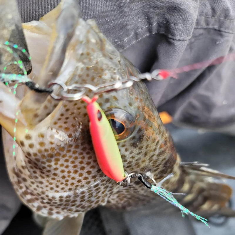 Load image into Gallery viewer, Sumo Slow Pitch Jig – 40g &amp; 60g
