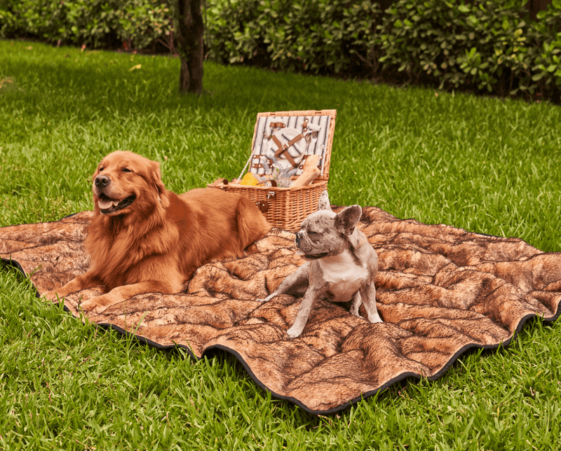 Load image into Gallery viewer, PupProtector™ Summer Short Fur Waterproof Throw Blanket - Sable Tan
