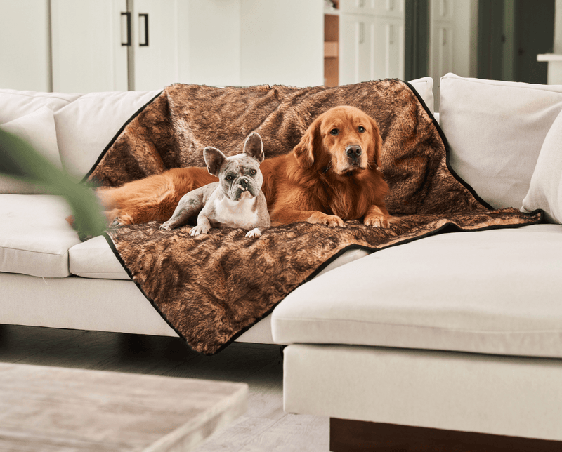 Load image into Gallery viewer, PupProtector™ Summer Short Fur Waterproof Throw Blanket - Sable Tan
