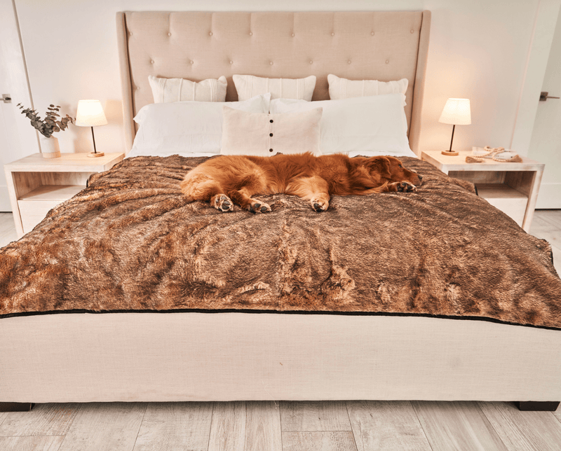 Load image into Gallery viewer, PupProtector™ Summer Short Fur Waterproof Throw Blanket - Sable Tan
