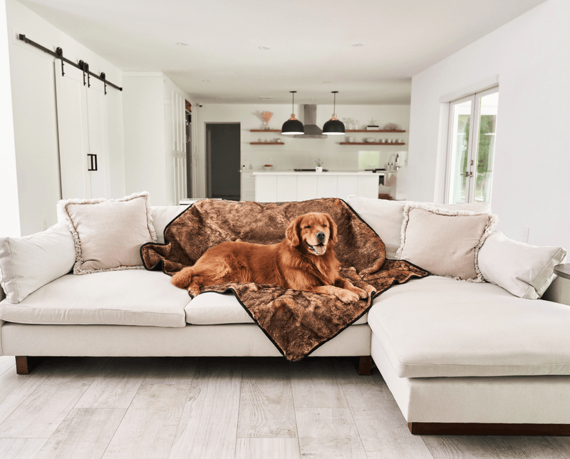 Load image into Gallery viewer, PupProtector™ Summer Short Fur Waterproof Throw Blanket - Sable Tan
