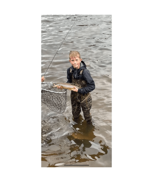 Load image into Gallery viewer, The Tadler - BFS Soft Plastic Finesse Lure for Bass Fishing
