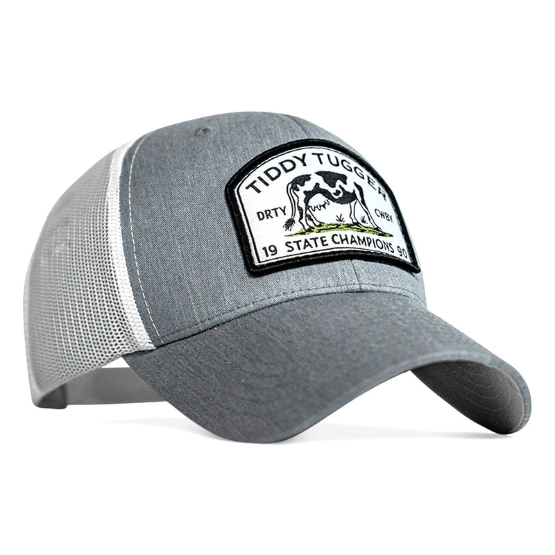 Load image into Gallery viewer, Tiddy Tugger State Champions Patch SnapBack
