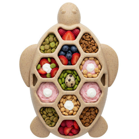 Turtle Nylon Chew Toy - Ultra-Durable Enrichment Toy for Power Chewers USA