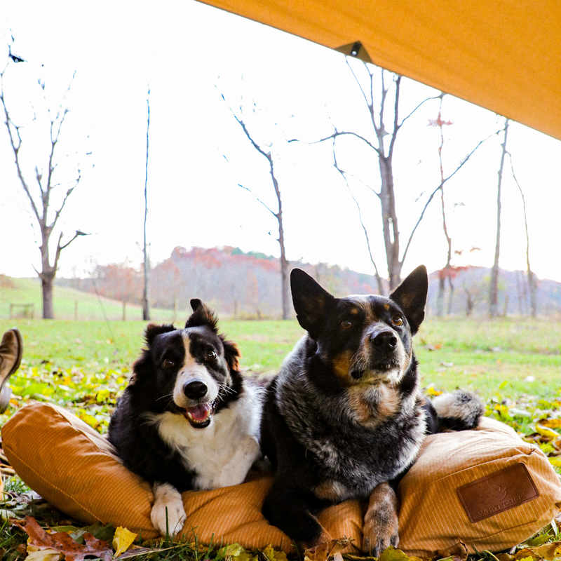 Load image into Gallery viewer, Sunshade Tarp 170
