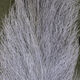 Load image into Gallery viewer, Calf Tail
