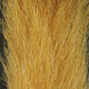Load image into Gallery viewer, Calf Tail
