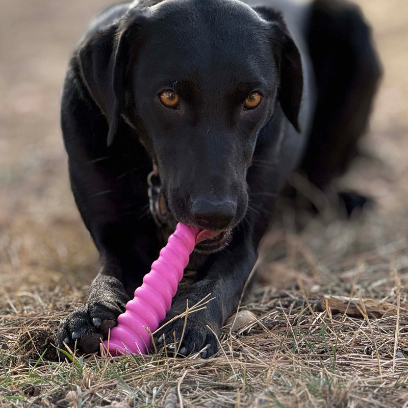 Load image into Gallery viewer, Unicorn Horn Nylon Dog Chew Toy | Durable for Aggressive Chewers | SodaPup
