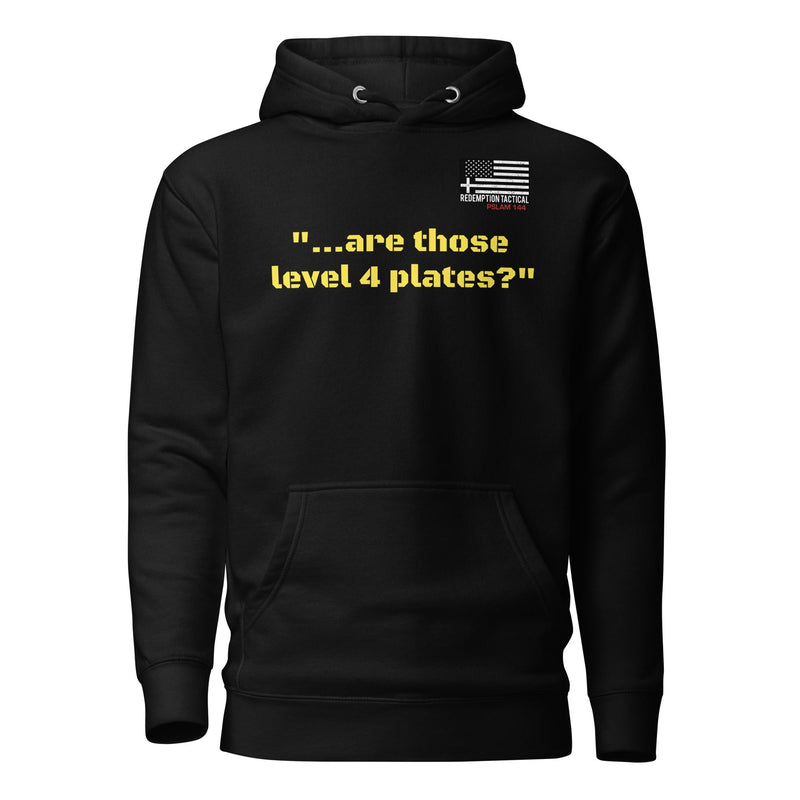 Load image into Gallery viewer, Are those Level IV plates Hoodie
