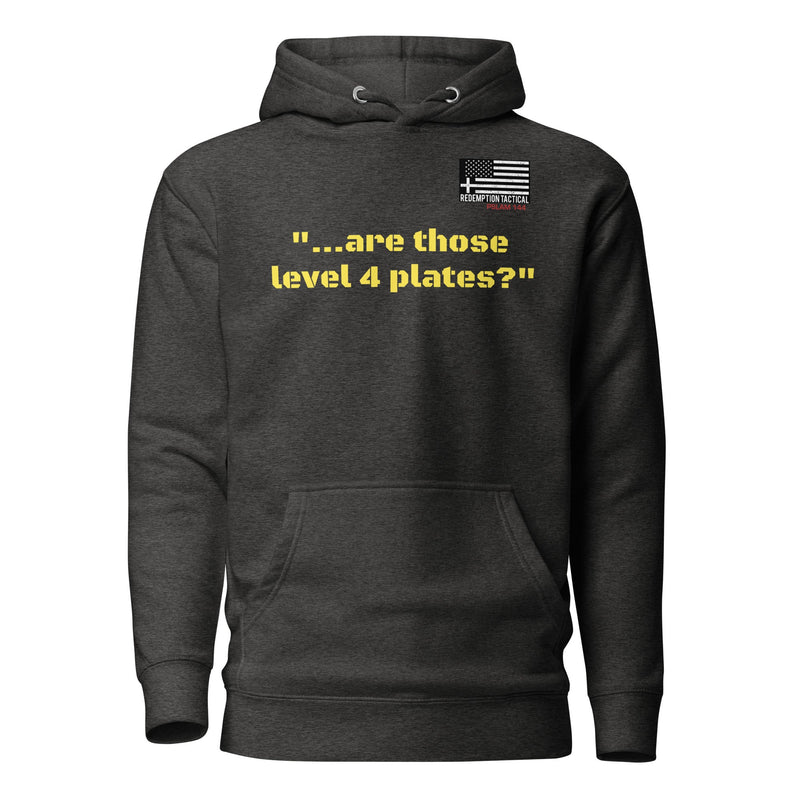 Load image into Gallery viewer, Are those Level IV plates Hoodie
