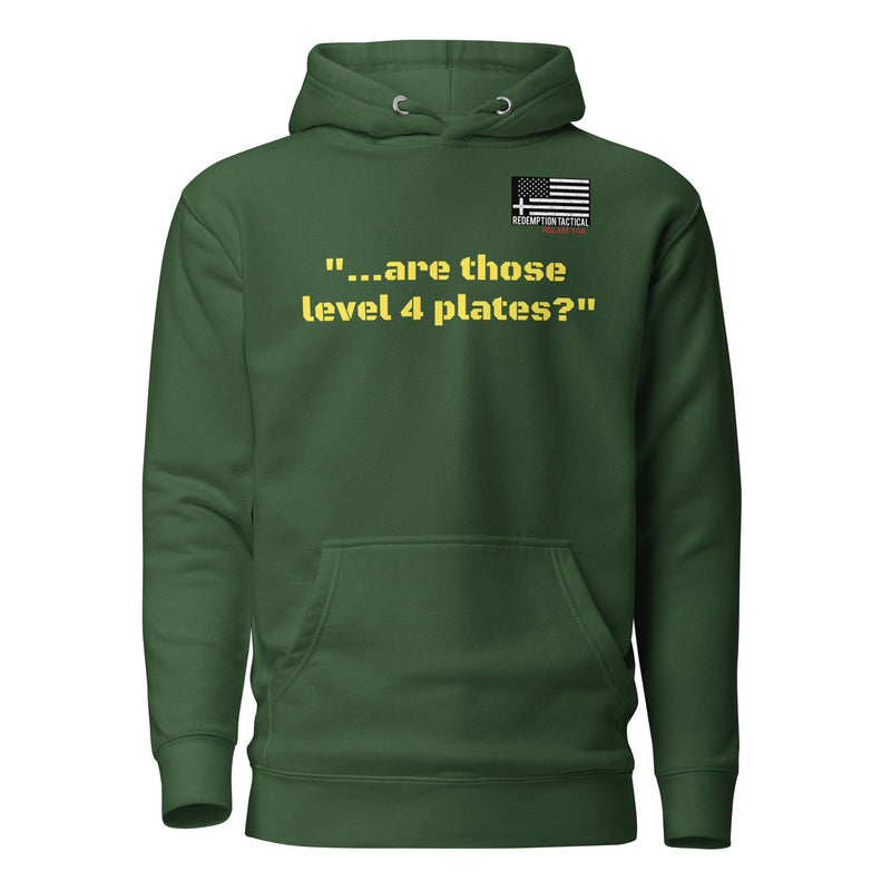 Load image into Gallery viewer, Are those Level IV plates Hoodie
