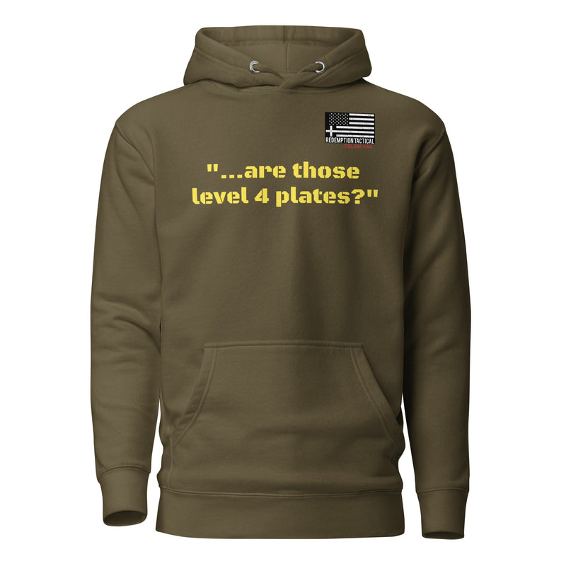 Load image into Gallery viewer, Are those Level IV plates Hoodie
