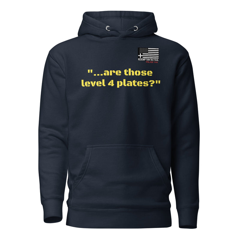 Load image into Gallery viewer, Are those Level IV plates Hoodie

