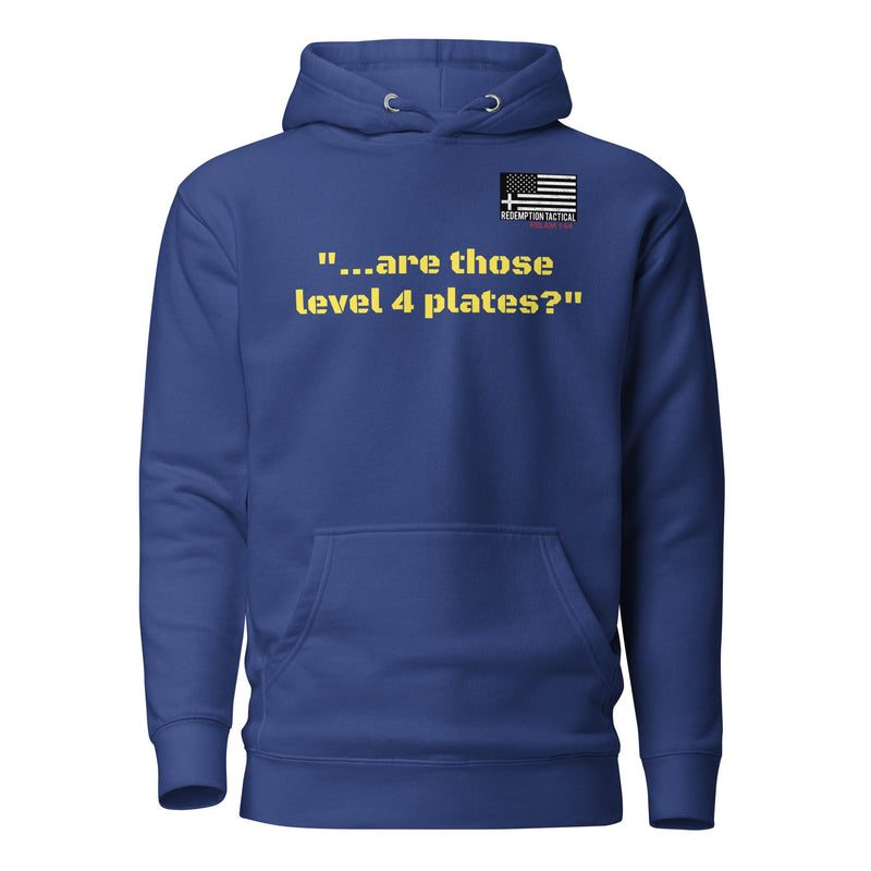 Load image into Gallery viewer, Are those Level IV plates Hoodie
