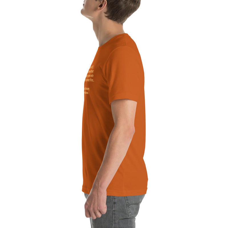 Load image into Gallery viewer, Only you... Campfire T-shirt
