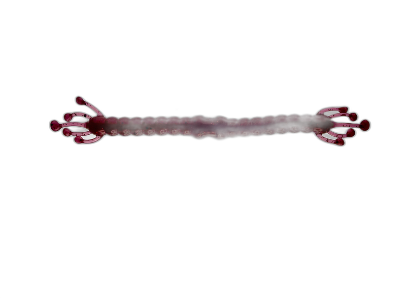 Load image into Gallery viewer, Wacky Alien - Soft Plastic Wacky Rig Worm for Bass Fishing
