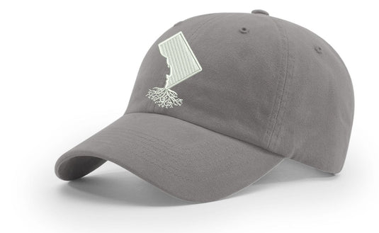 Washington DC Dad Hat